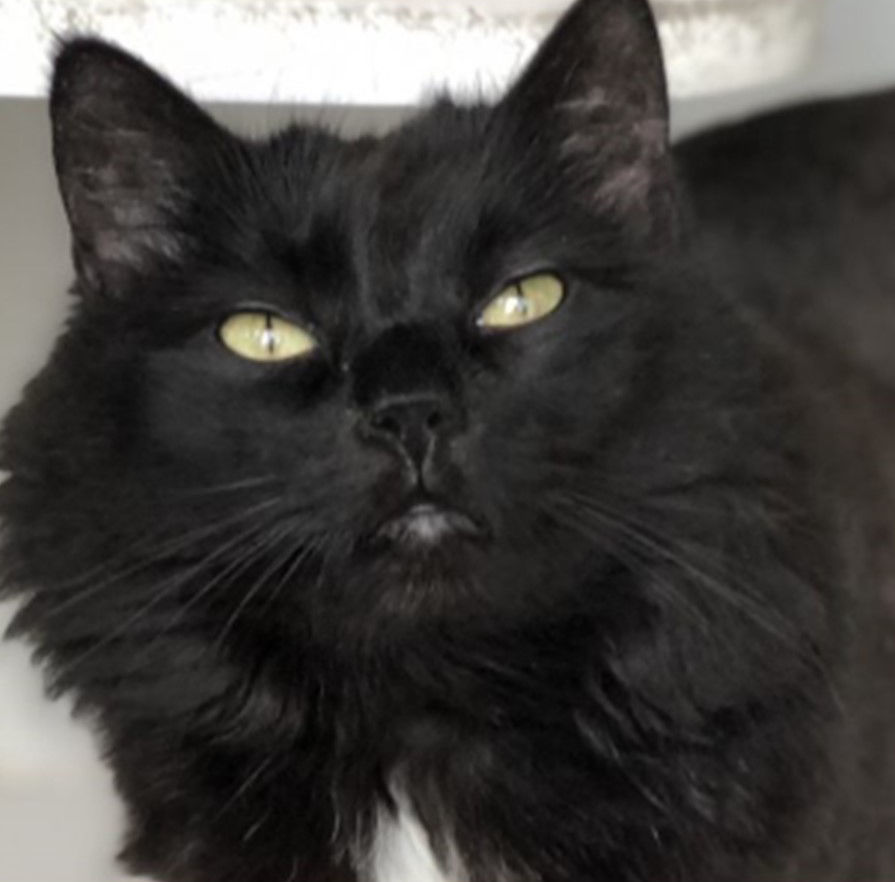 Salem